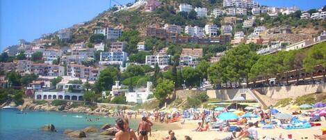 Departamento | Vista desde la propiedad