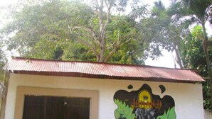 A building with a corrugated metal roof and a large door. There is a mural on the wall depicting a figure and some foliage. - JUMANJI  (Palomino)