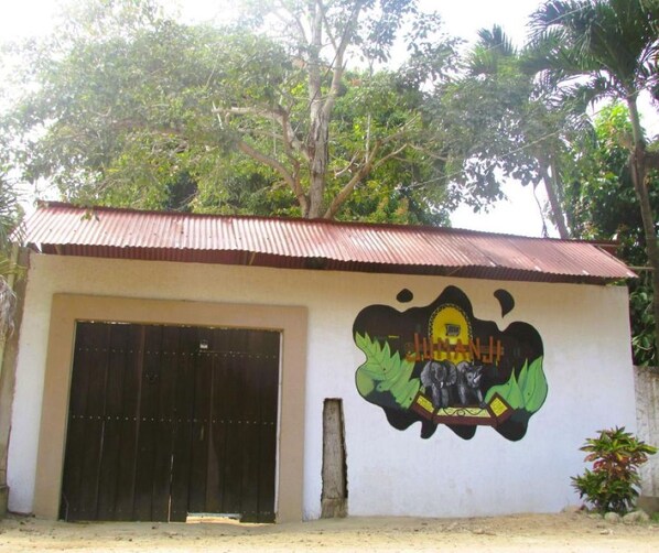 A building with a corrugated metal roof and a large door. There is a mural on the wall depicting a figure and some foliage. - JUMANJI  (Palomino)