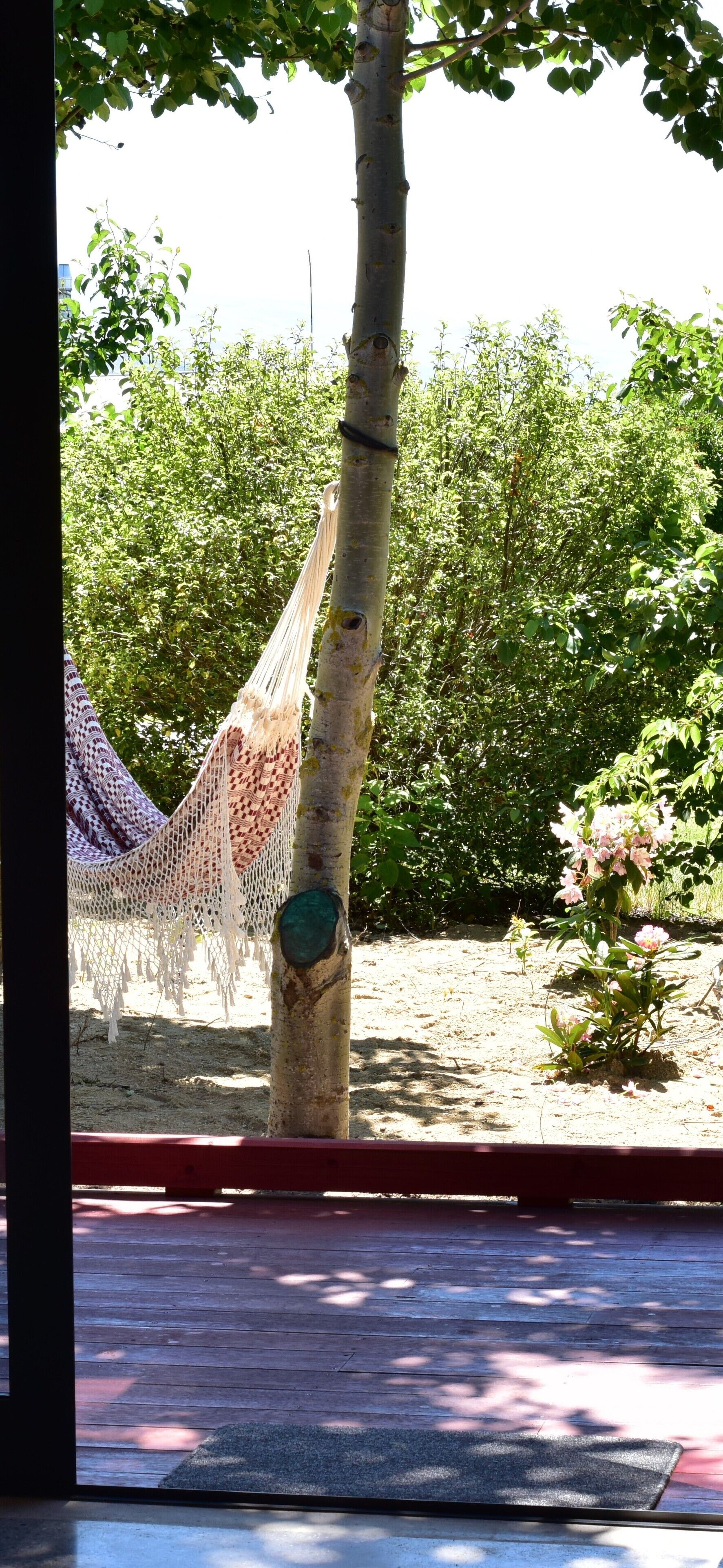 A hammock tied to a tree, a wooden deck, and a garden with various plants.