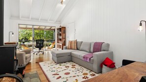 Smart TV, fireplace, books