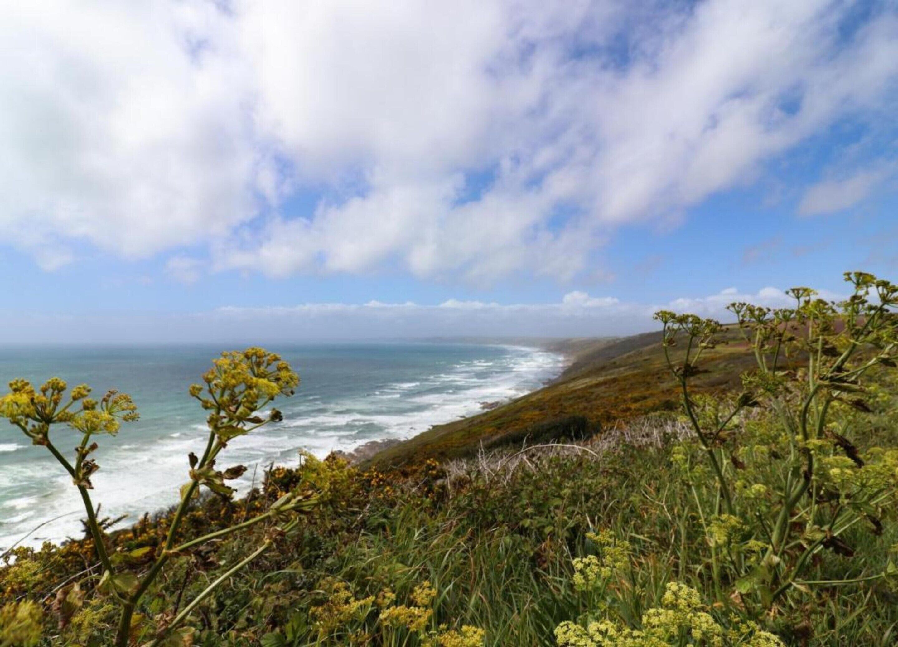 Eine Küstenlandschaft mit Blick auf das Meer und einen grasbewachsenen Hügel.