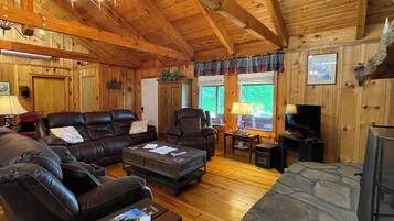 Smart TV, fireplace, books