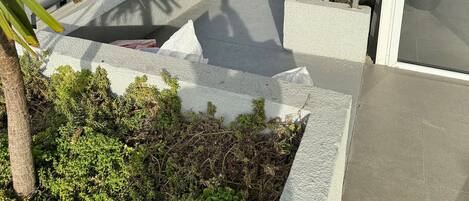 Un espacio al aire libre con escalones de hormigón, barandillas y vegetación.