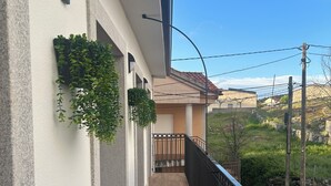 Un balcon doté d’un plancher en bois, d’une rambarde noire et de plantes vertes.
