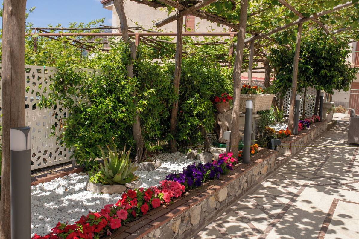 A garden with a pergola, various plants, and a stone pathway.