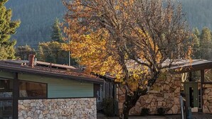 La biblioteca pública Oakridge con paredes de piedra, una terraza de madera y un árbol grande al fondo.