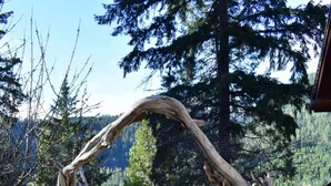 A rustic wooden archway leading to a stone pathway in a forested area with a wooden deck and a bird feeder. - Best Location in Oakridge: Lake and Mountain Views (Oakridge)