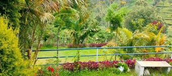 Charming 4-bedroom cottage in quaint Kotagiri with WiFi