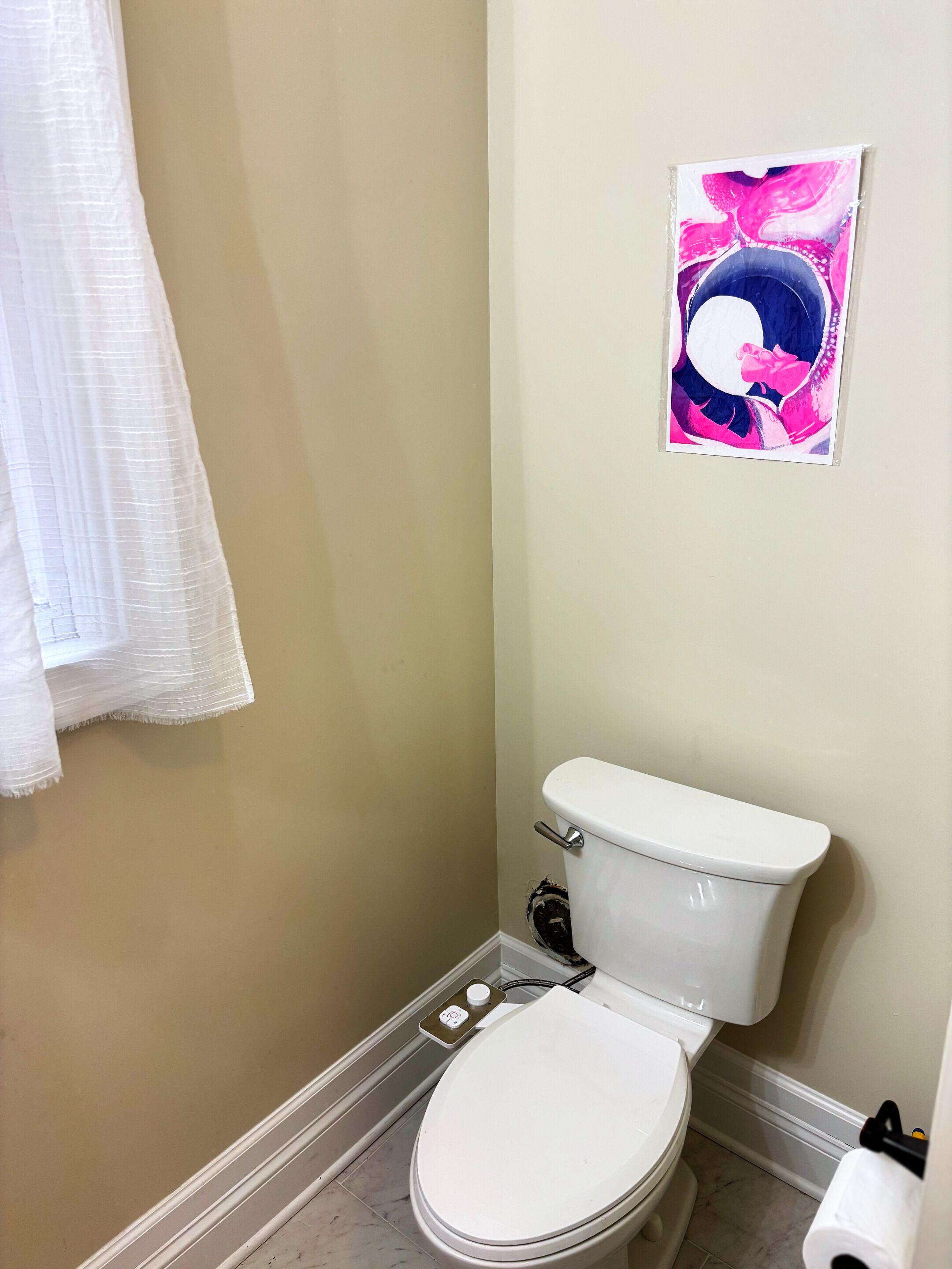 Un baño con inodoro, un dispensador de papel higiénico en la pared y una obra de arte enmarcada sobre el inodoro.