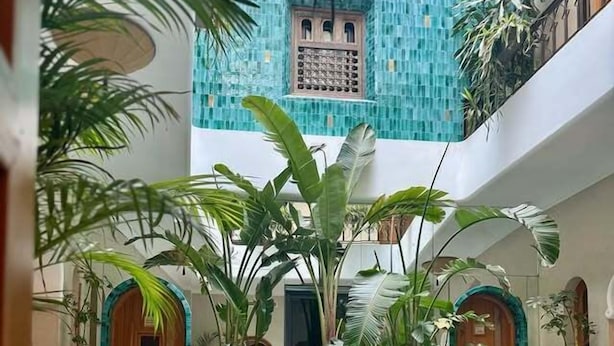 Ein Innenhof mit Pool, umgeben von Kübelpflanzen und einer Kachelwand.