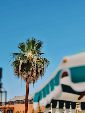 A palm tree and a part of a building with a white and blue structure. - Riad Casa Felicità (Marrakech)