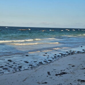 Apartment, 2 Bedrooms, Accessible, Ocean View | Beach