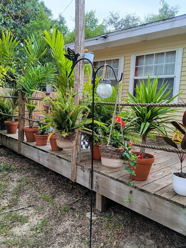 Property grounds - The Lemon Zest Cottage
(Paws Welcome)
 (Pensacola)