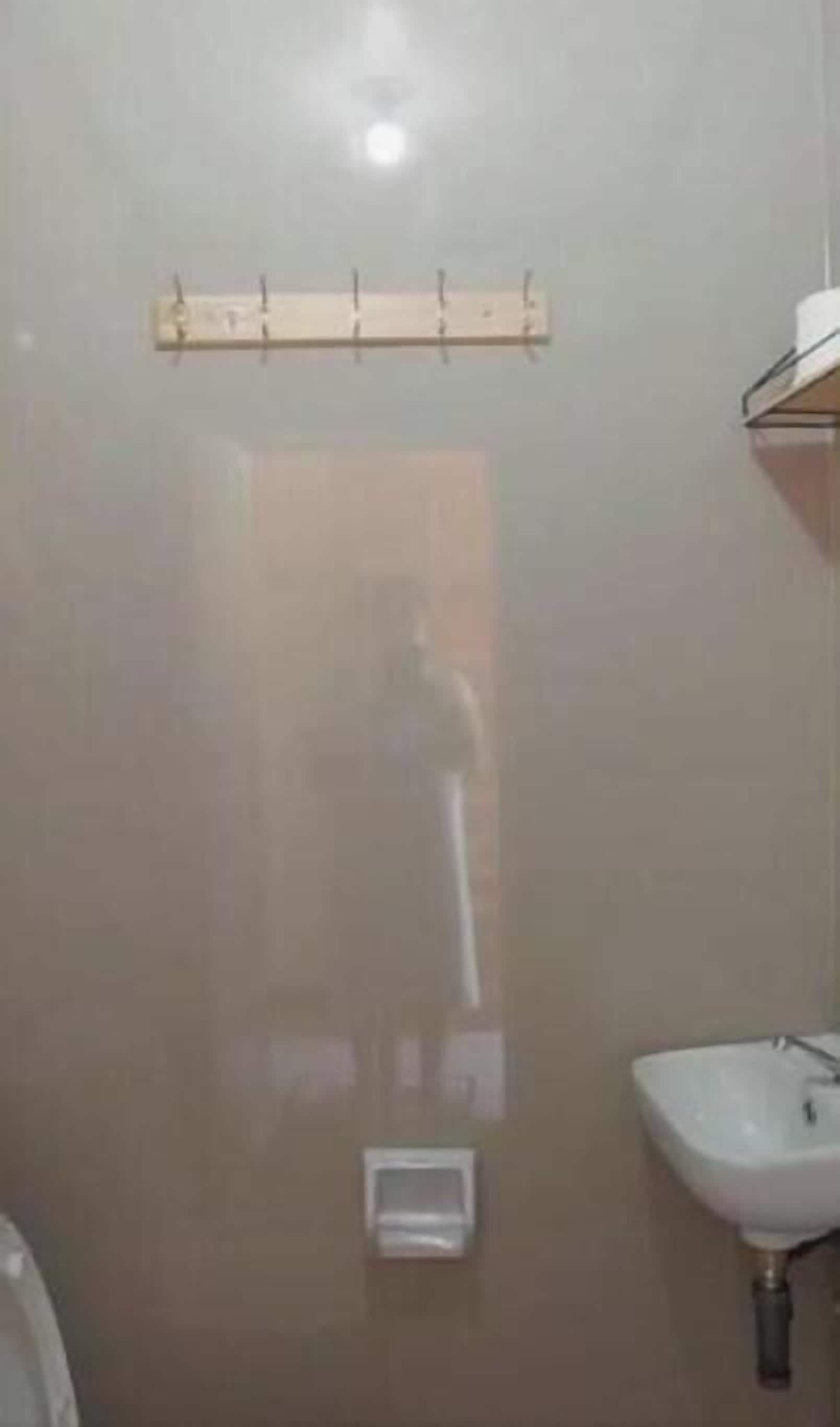 提供毛巾、廁紙