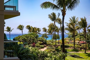 公寓式客房 (6 Bedrooms) | 客房景观