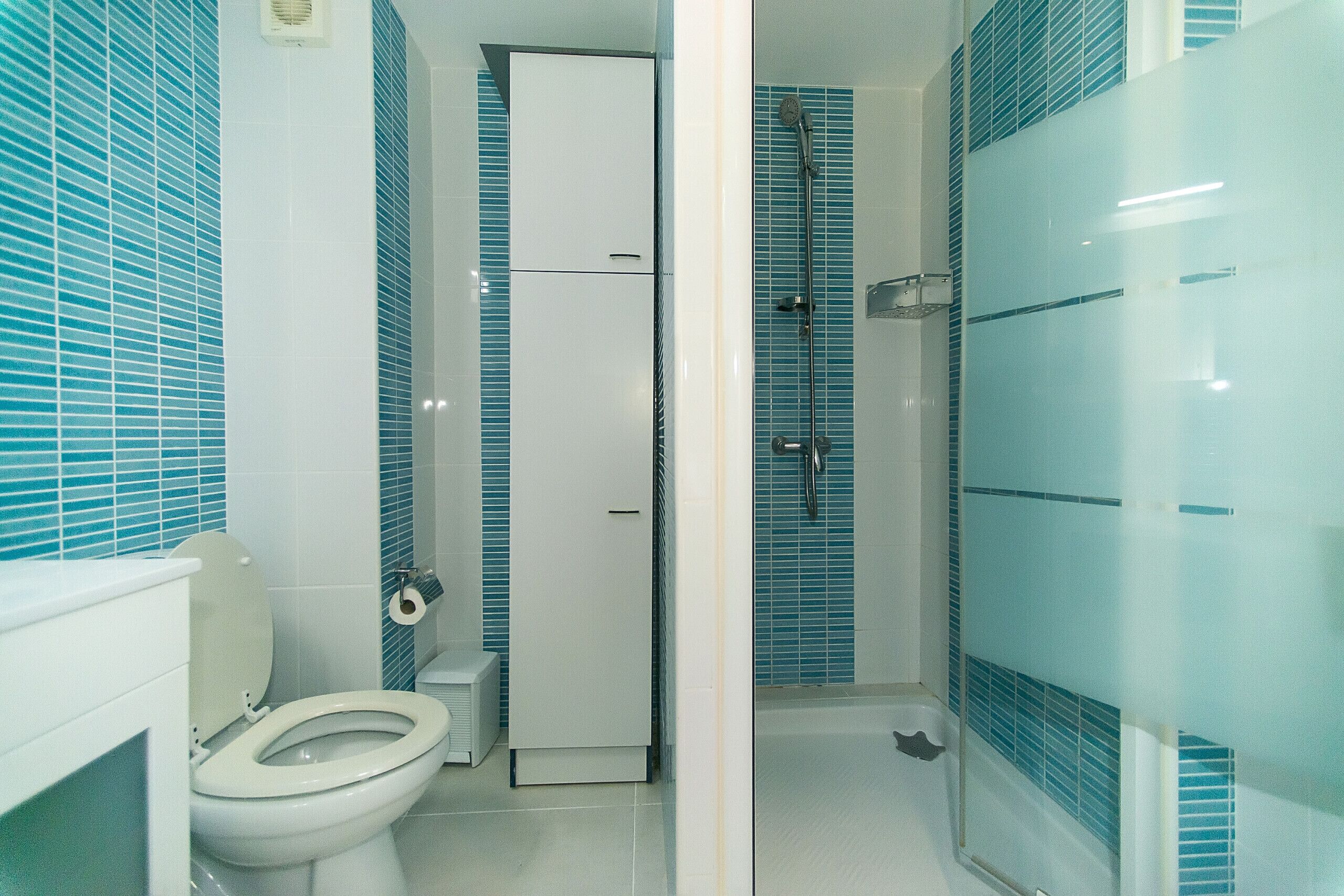 A bathroom with a toilet, a shower, and a door leading to another room.