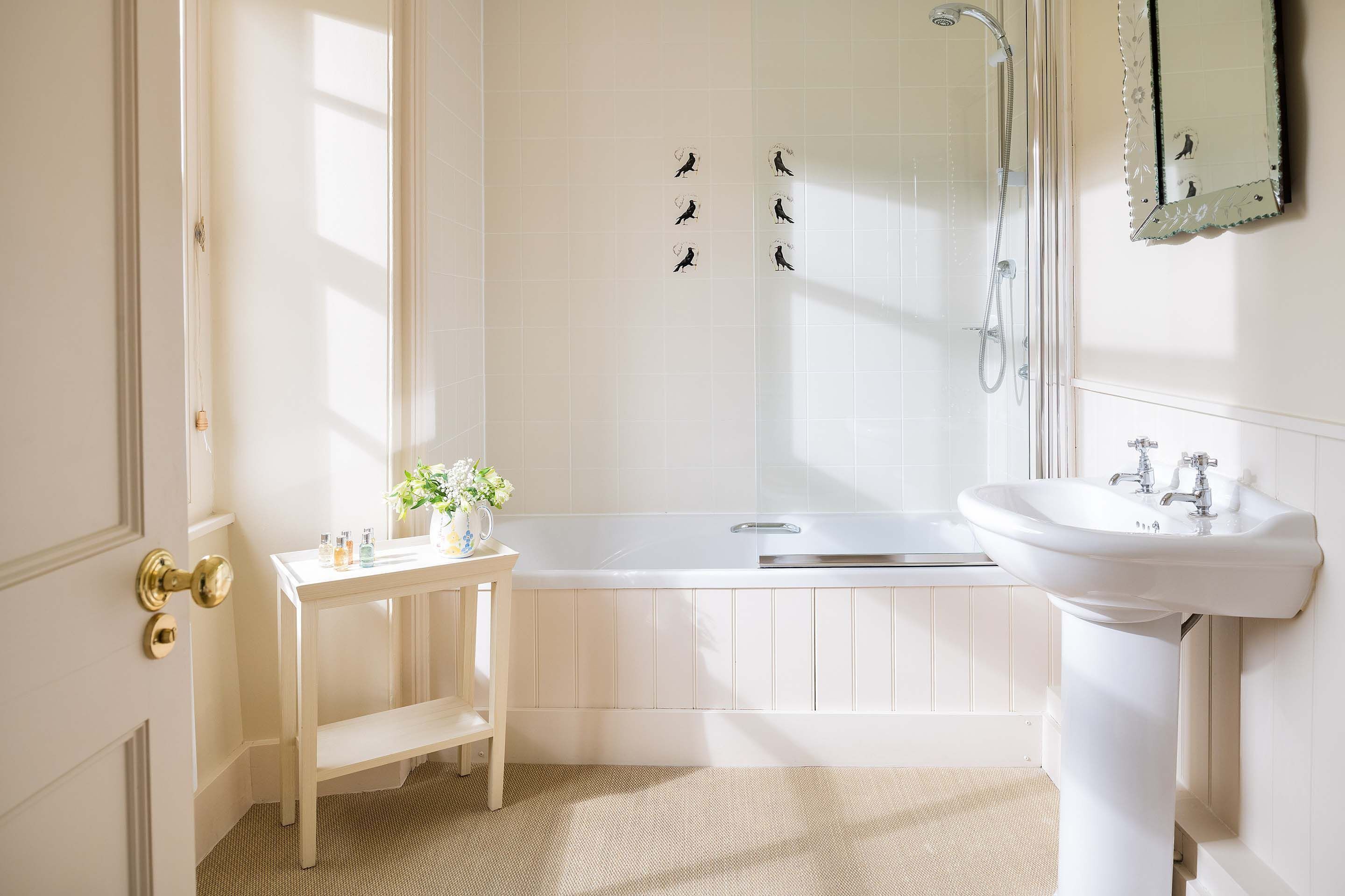 Shower, hair dryer