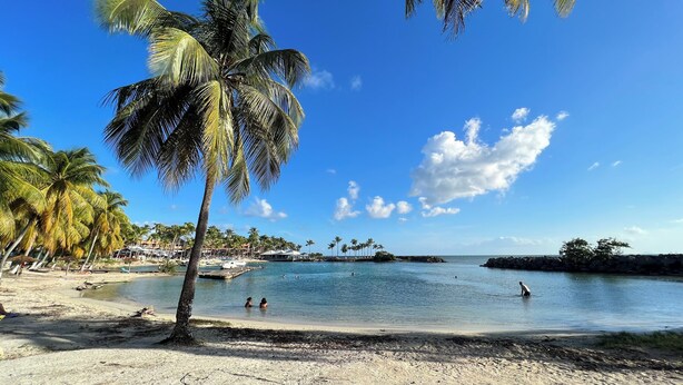 A beach with palm trees, clear blue water, and a rocky outcrop in the distance. - Villa Aloha - Large capacity with garden, jacuzzi, + cistern_Bas du fort (Le Gosier)