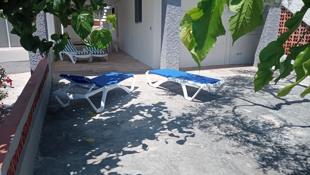 Terras