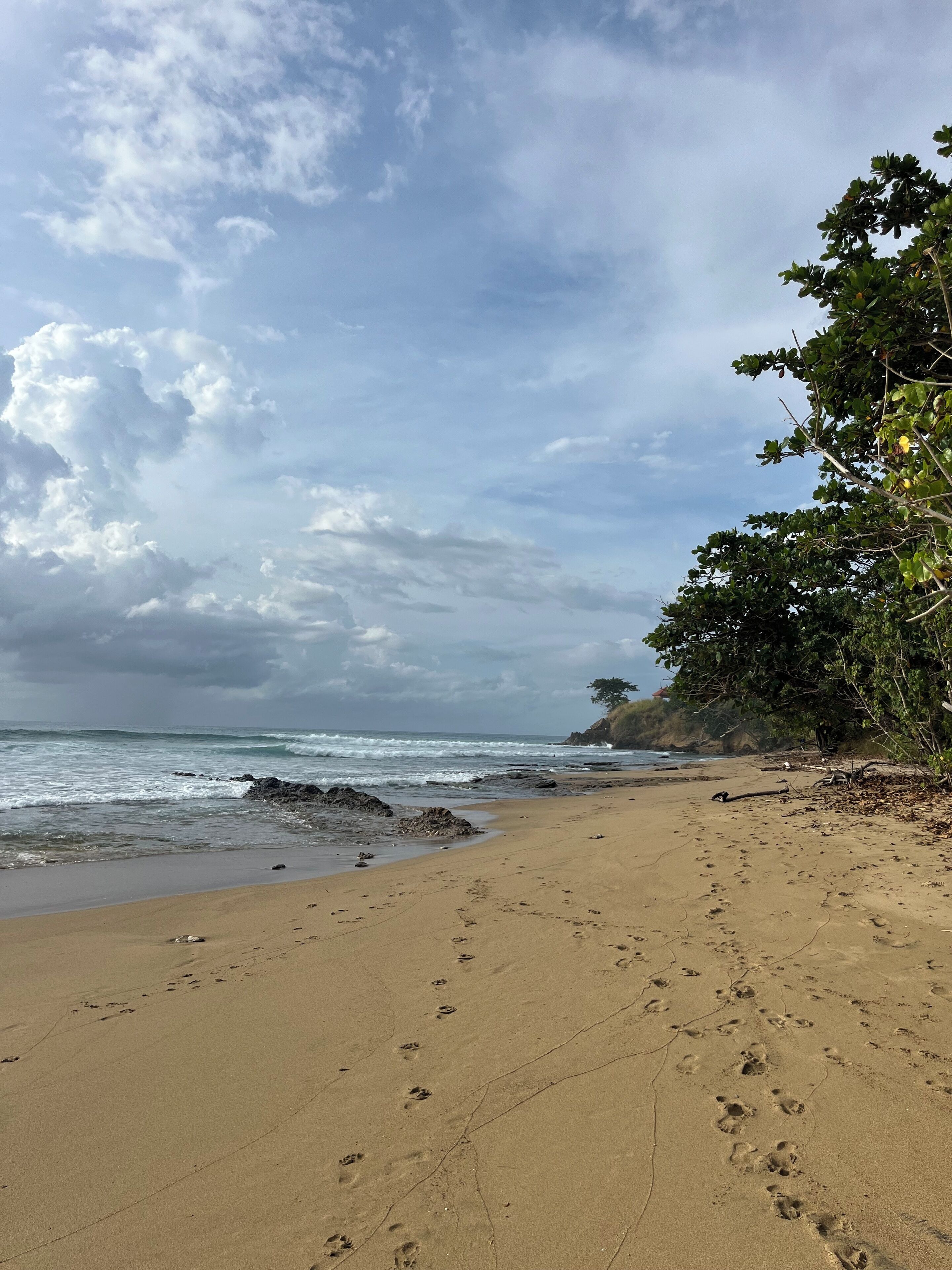 Sun loungers, beach towels