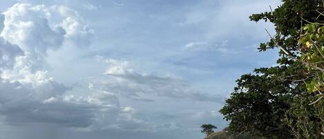 Sun-loungers, beach towels