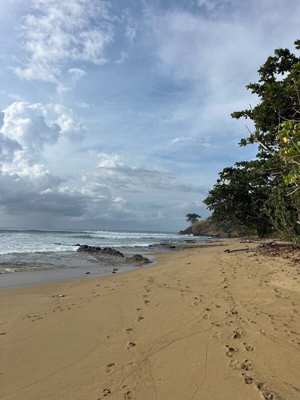 Chaises longues, serviettes de plage