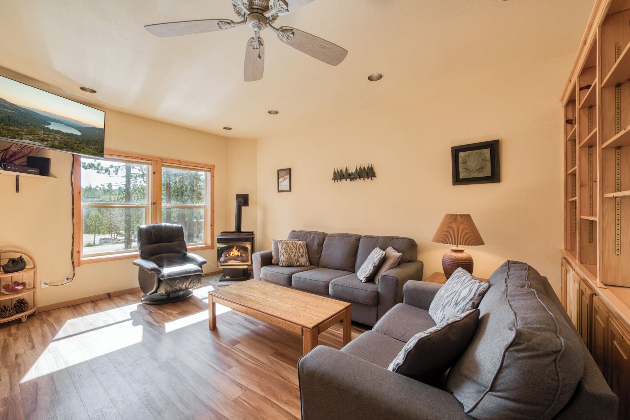 Smart TV, fireplace, books