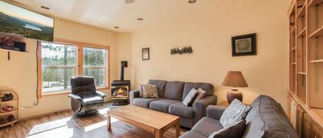 Smart TV, fireplace, books