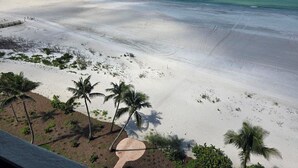 A beach with white sand, clear blue water, and palm trees.