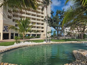 Unclassified image, 3 of 24, button