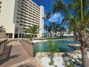 Unclassified image, 2 of 24, button