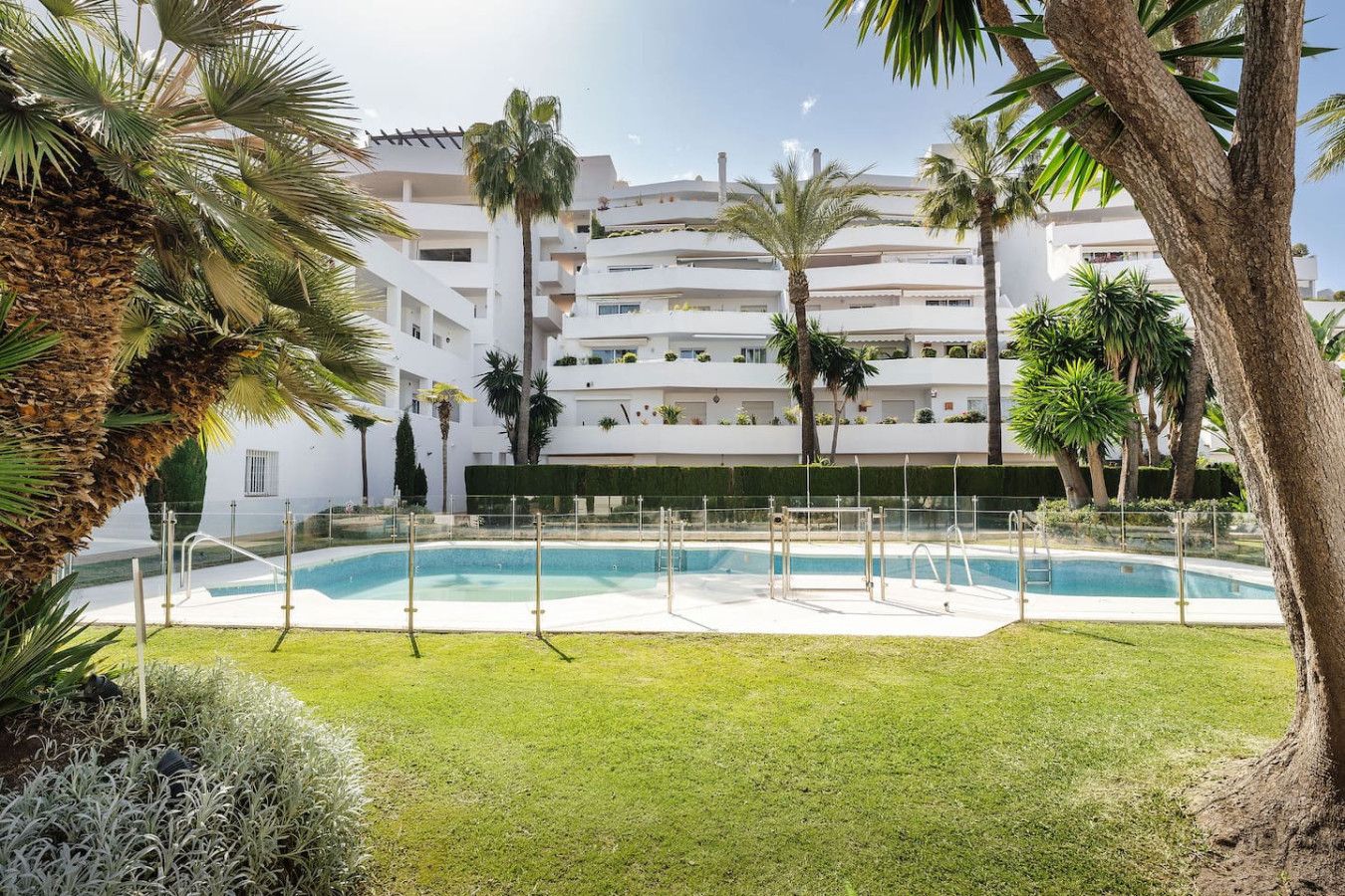 A swimming pool surrounded by palm trees and a white building with multiple balconies.