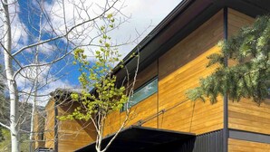 A modern two-story building with a combination of wooden and dark siding, a covered driveway, and a small tree in the foreground.