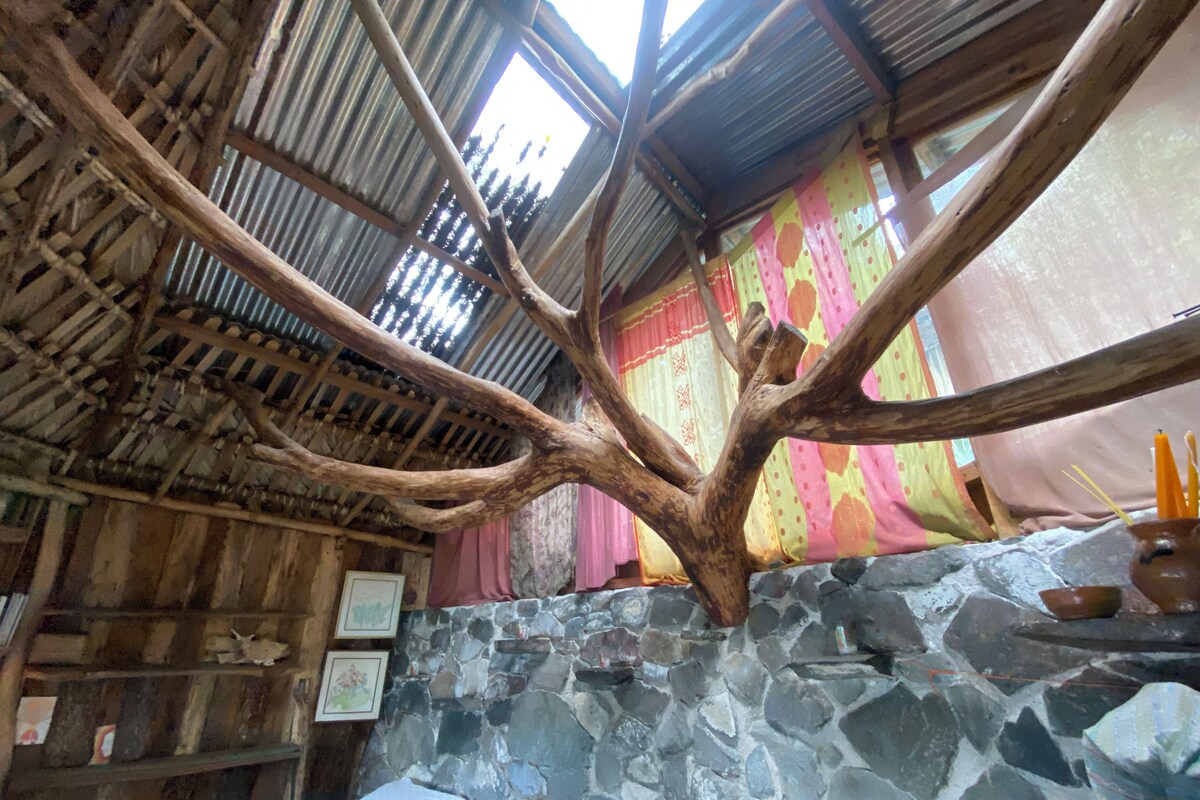 A rustic interior with a wooden ceiling structure, stone walls, and a large tree trunk centerpiece.