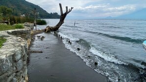 A stone pathway leading to a body of water with a fallen tree in the middle. - Blue Forest (San Marcos La Laguna)