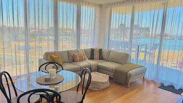 Smart TV, books, video library, stereo