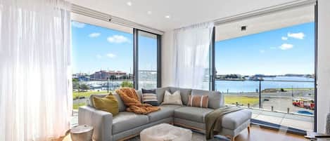 Smart TV, books, video library, stereo