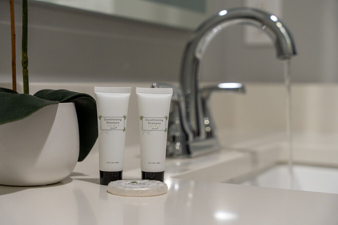Two conditioning shampoo tubes on a bathroom counter with a faucet and a bowl of green leaves.