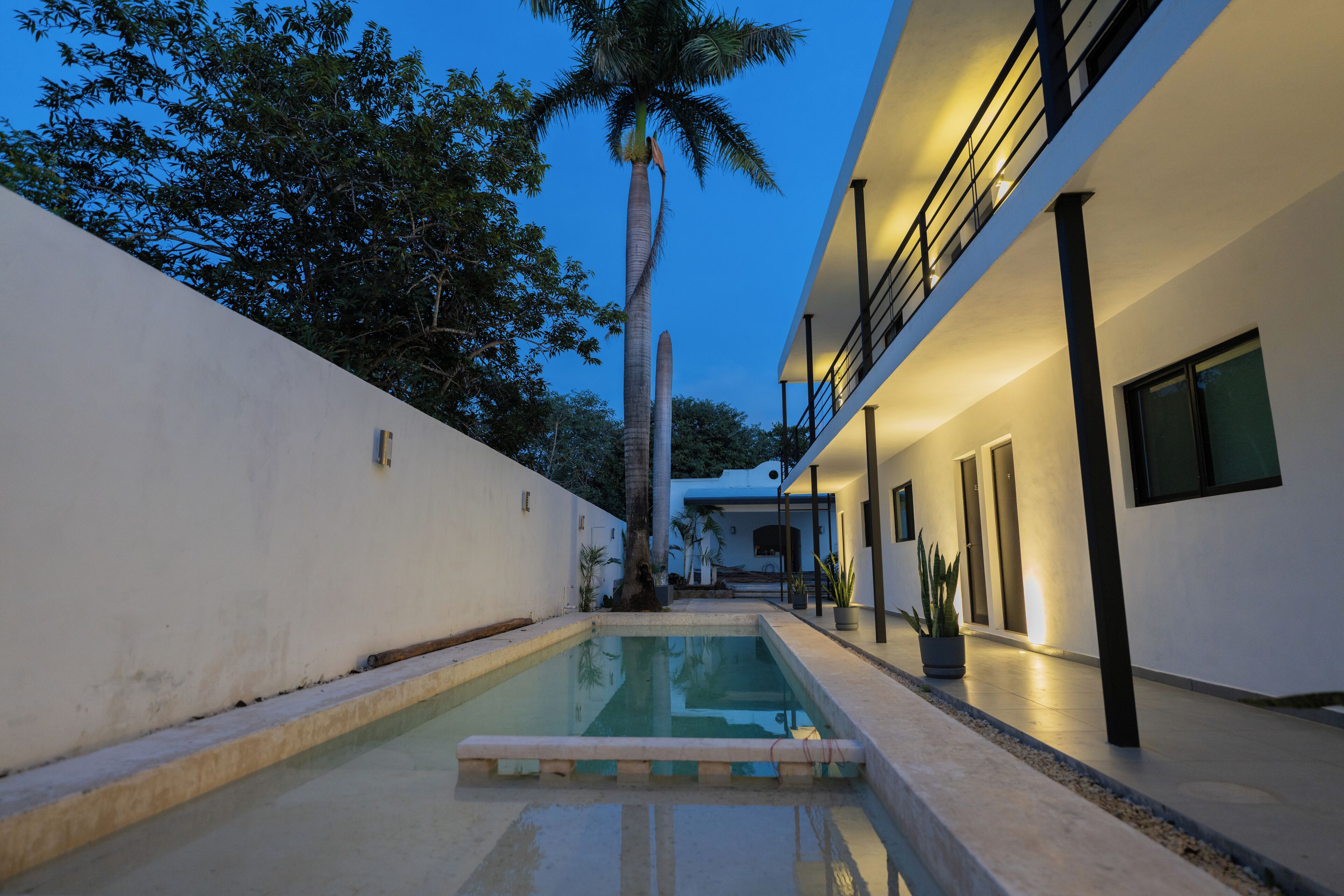 A modern building with a swimming pool, a palm tree, and a well-lit exterior.