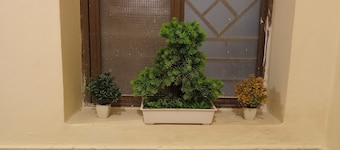 Small Furnished Home With One Large Bedroom