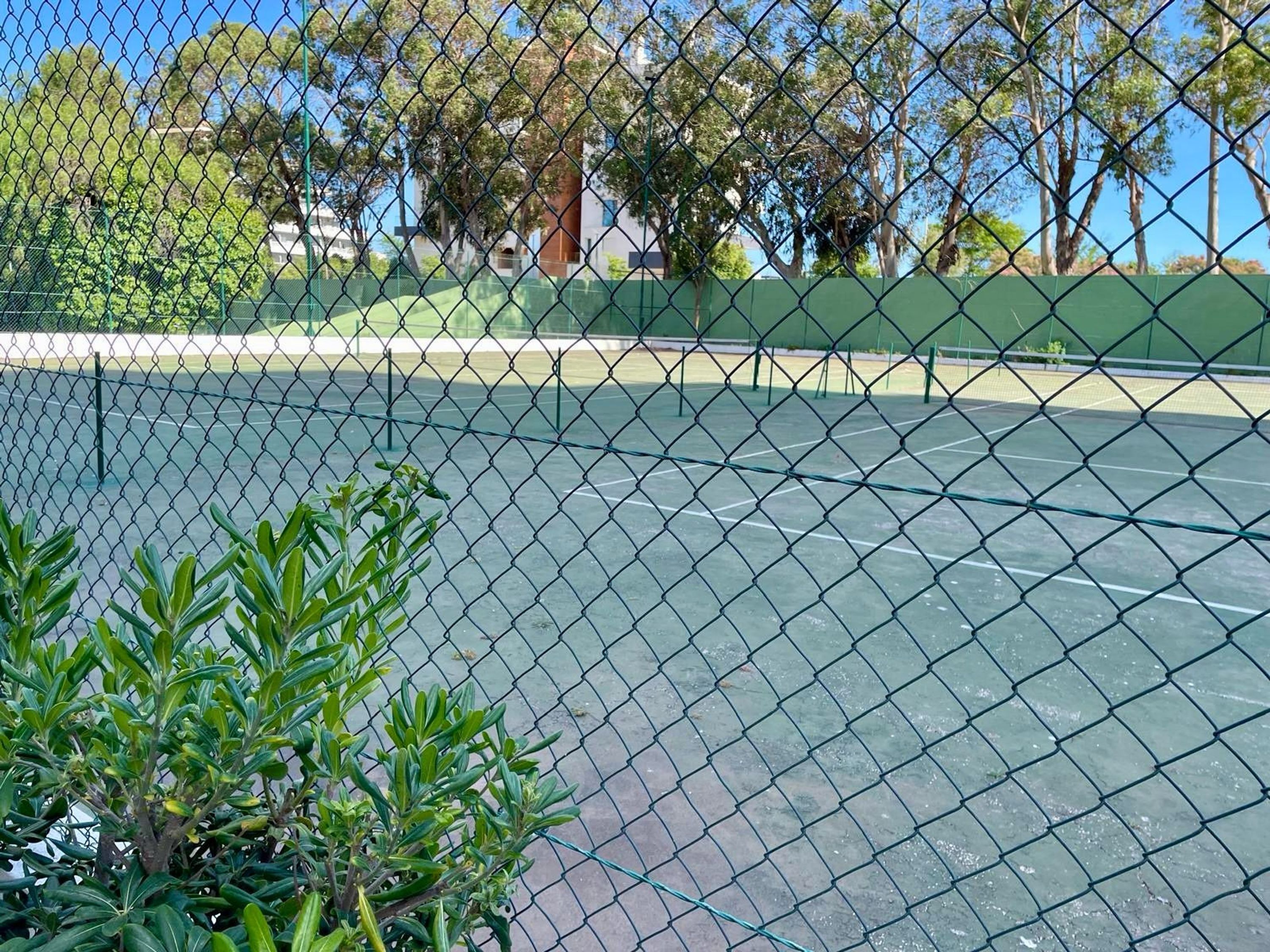 Un campo da tennis con recinzione a maglie, superficie verde, circondato da una staccionata e alberi sullo sfondo.
