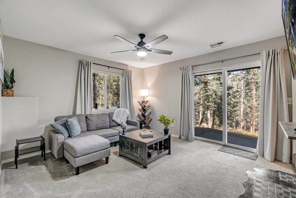 Smart TV, fireplace, books