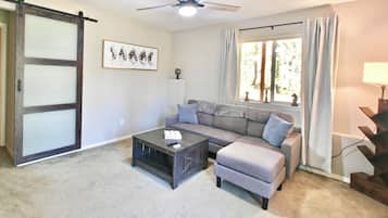 Smart TV, fireplace, books