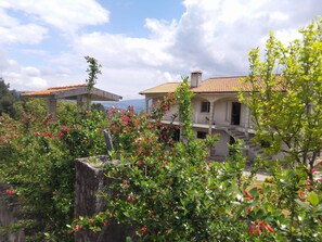 獨棟房屋 | 3 間臥室