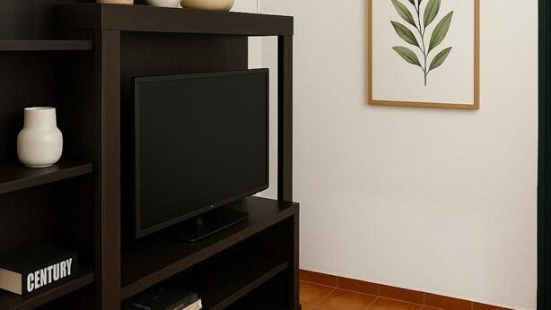 A modern living room with a flat-screen TV on a dark wooden stand, a framed plant on the wall, and a tiled floor. - Casa Ref gio do Douro (Baiao)