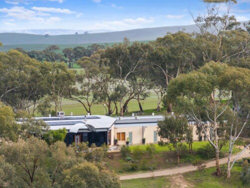 Tranquil motel style large room.