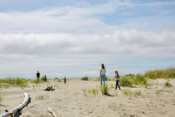 On the beach