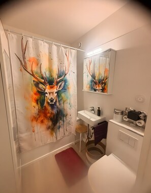 Shower, free toiletries, hair dryer