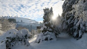 A snow-covered landscape with a bench and trees. - Apartment 'Demberg' with Mountain View, Private Terrace and Wi-Fi (Schmallenberg)